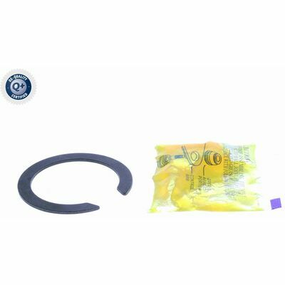 Q+, calidad de primer equipo