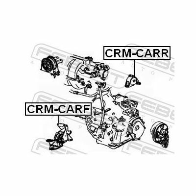 CRM-CARF