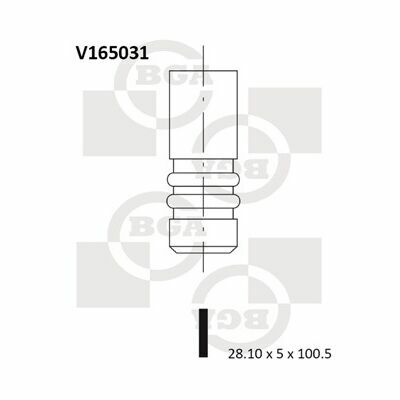 V165031