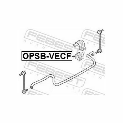 OPSB-VECF