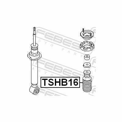 TSHB16