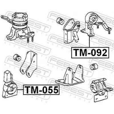 TM-055