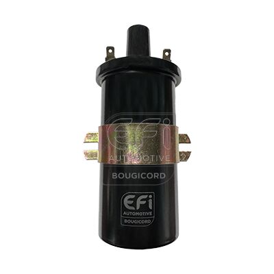 EFI - BOUGICORD