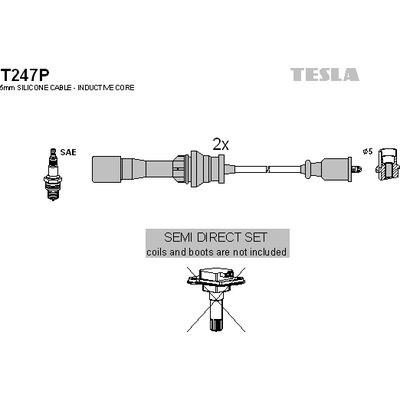 T247P