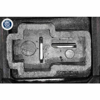 Q+,  Première Monte