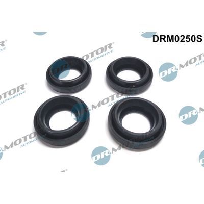 DRM0250S