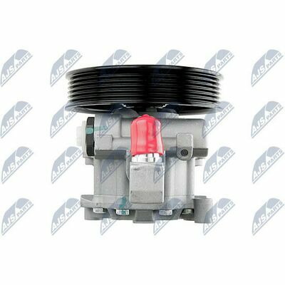 Pompe De Direction Assistée Hydraulique Avec Poulie NTY - Neuf - Compatible Audi, Citroën, Peugeot