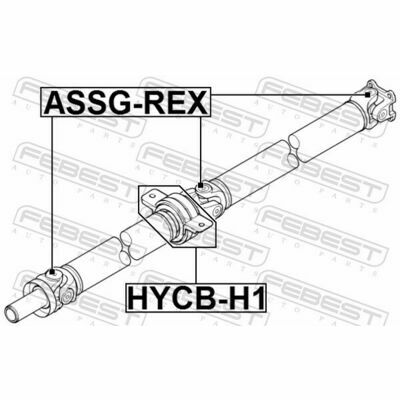 HYCB-H1