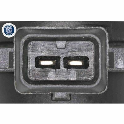 Q+,  Première Monte