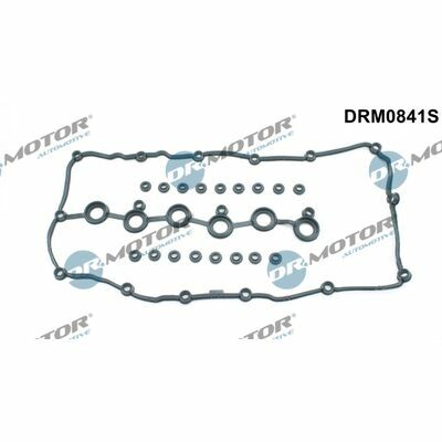 DRM0841S