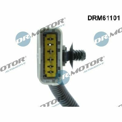 DRM61101