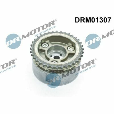 DRM01307