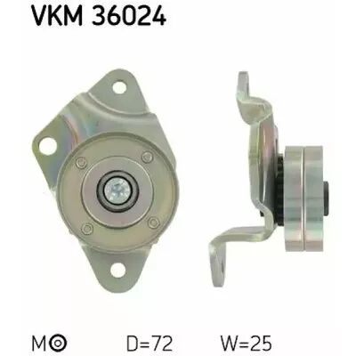 VKM 36024