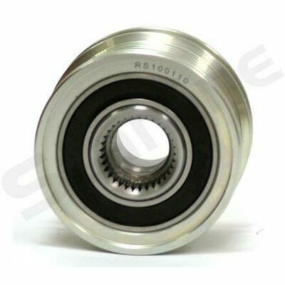 RS 100110