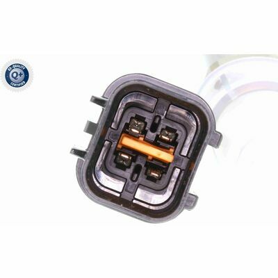 Q+,  Première Monte