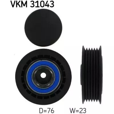 VKM 31043
