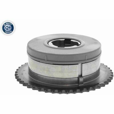 Q+,  Première Monte