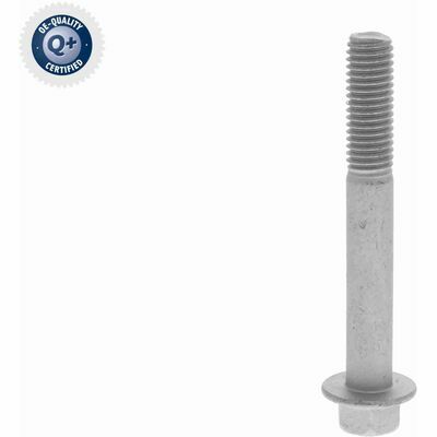 Q+,  Première Monte