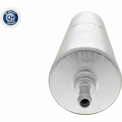 Q+,  Première Monte