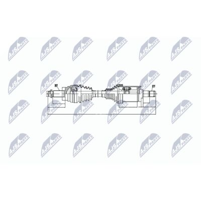 NPW-BM-015