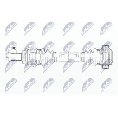 NPW-BM-038