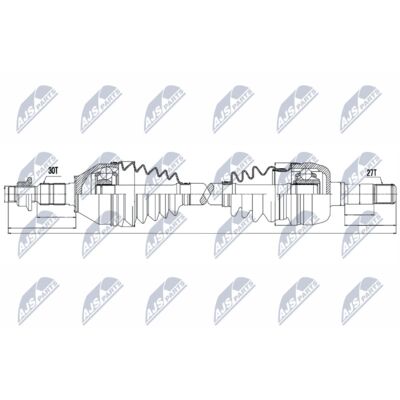 NPW-PL-036