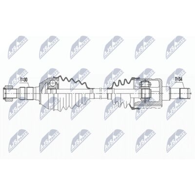 NPW-PL-109