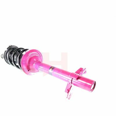 Jambe de suspension complète PRO