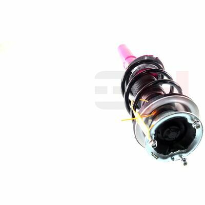 Jambe de suspension complète PRO