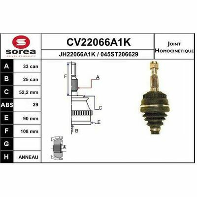 CV22066A1K