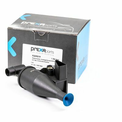P229019