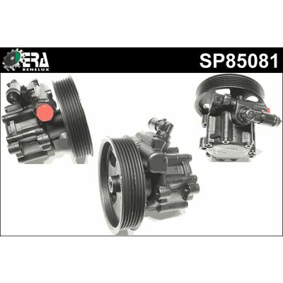 SP85081