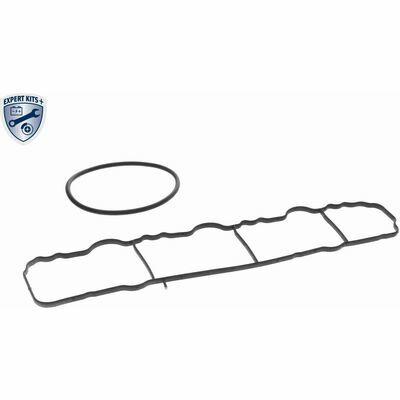 EXPERT KITS +