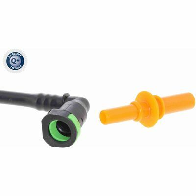 Q+, calidad de primer equipo