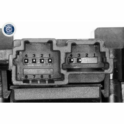 Q+,  Première Monte