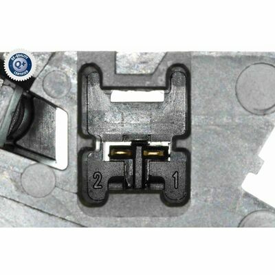 Q+,  Première Monte