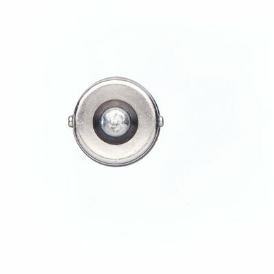 Trucklight WS