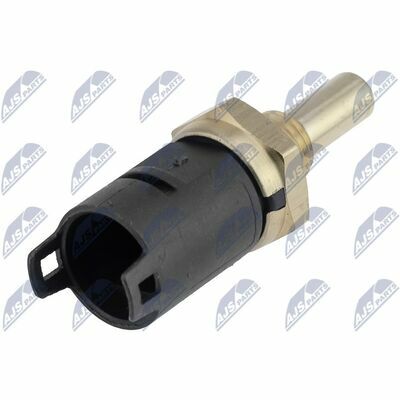 ECT-BM-010