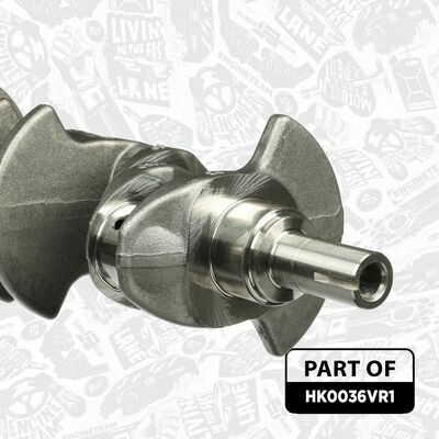 HK0036VR1
