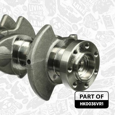 HK0036VR1