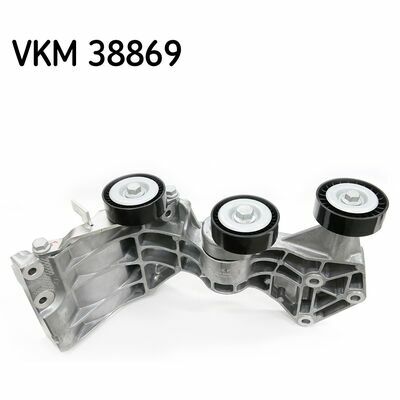 VKM 38869