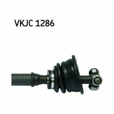 VKJC 1286