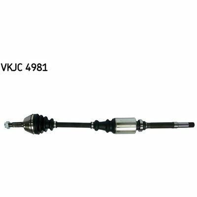VKJC 4981
