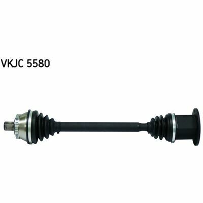 VKJC 5580