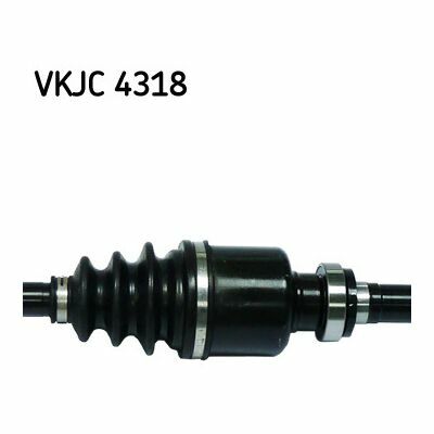 VKJC 4318