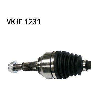 VKJC 1231