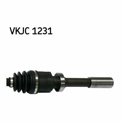 VKJC 1231