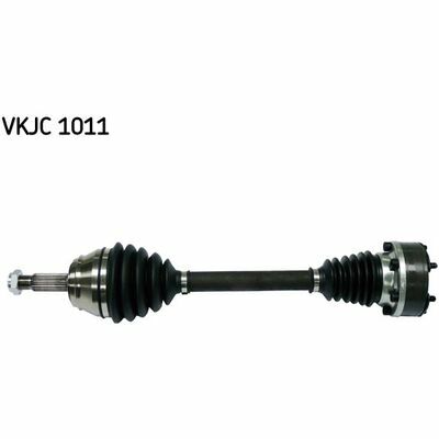 VKJC 1011