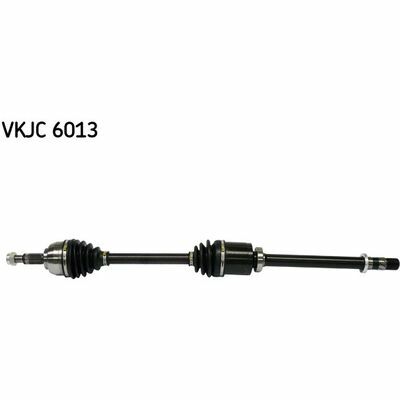 VKJC 6013