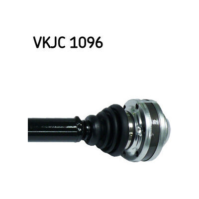 VKJC 1096